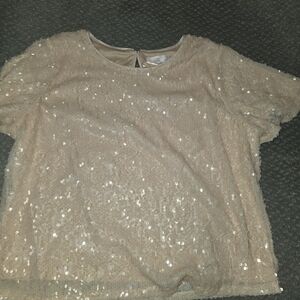 LC Lauren Conrad Blush Sequin Short Sleeve Top